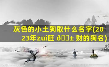 灰色的小土狗取什么名字(2023年zui
旺 🐱 财的狗名)